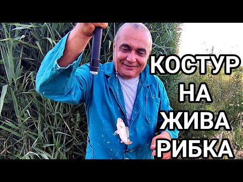 Видео: Как да стръв костур