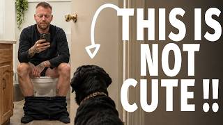 Why Your Dog Follows You Everywhere (It's Not Loyalty. It's a Warning Sign)