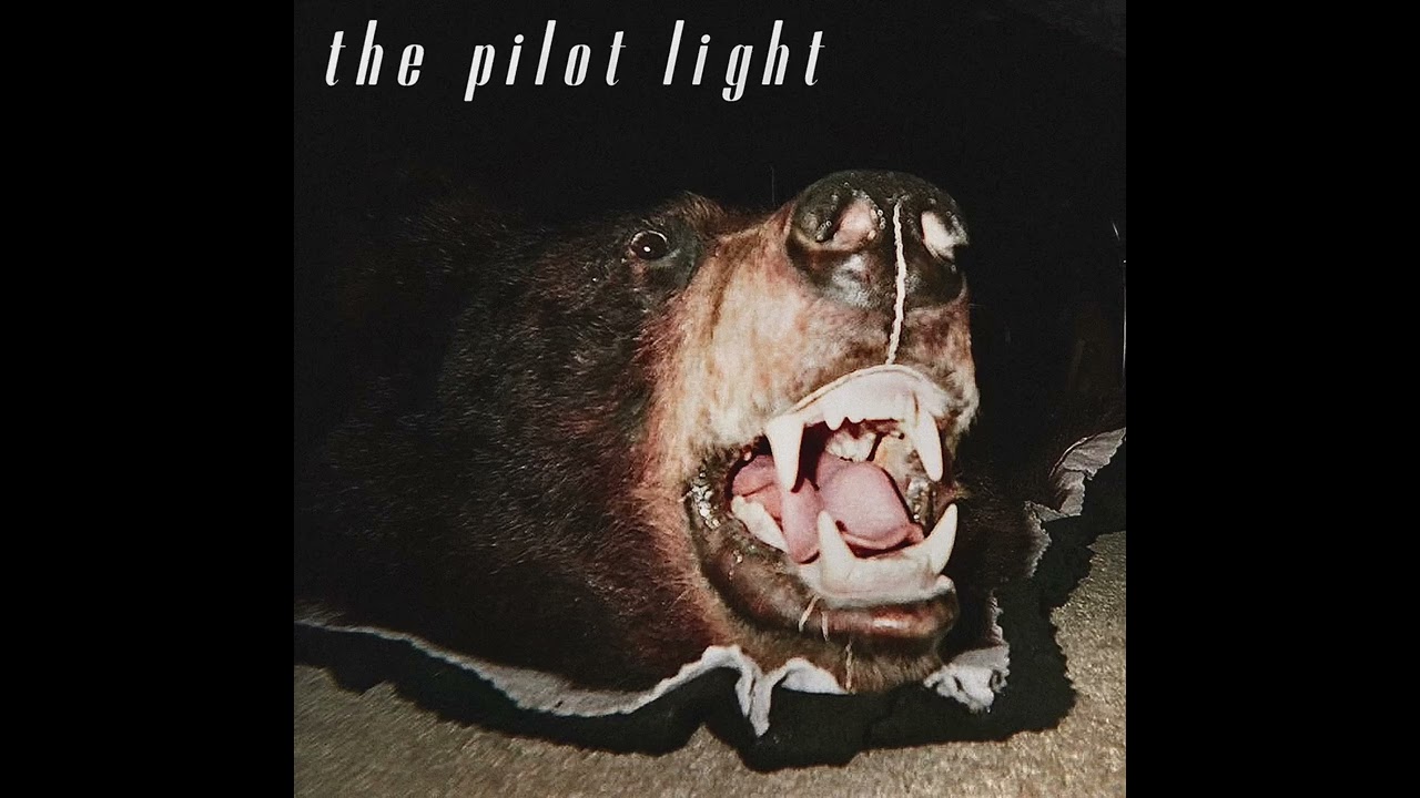 The Pilot Light - Swallowing Cranes