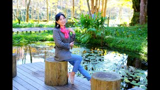 20191108 南投 杉林溪 穿林棧道&燕庵