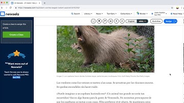 NewsEla Articles in Spanish