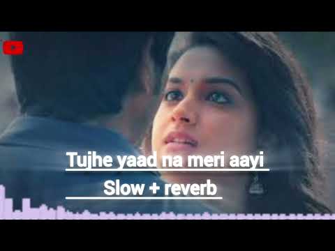 Tujhe Yaad Na Meri Aayi_(SLOWED & REVERB)_Udit Narayan | Alka Yagnik | SB Lofi #viral #sad 
