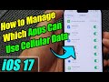 iPhone iOS 17: How to Manage Which Apps Can Use Cellular Data