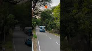 Haryana Roadways💪✈️ #haryanaroadways#PRTC#trending#training#race#ytshorts#shorts#explore#hr#PB#song
