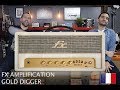 Fx amplification  gold digger  dmo dampli