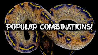 The 10 Most Popular Ball Python Combinations!
