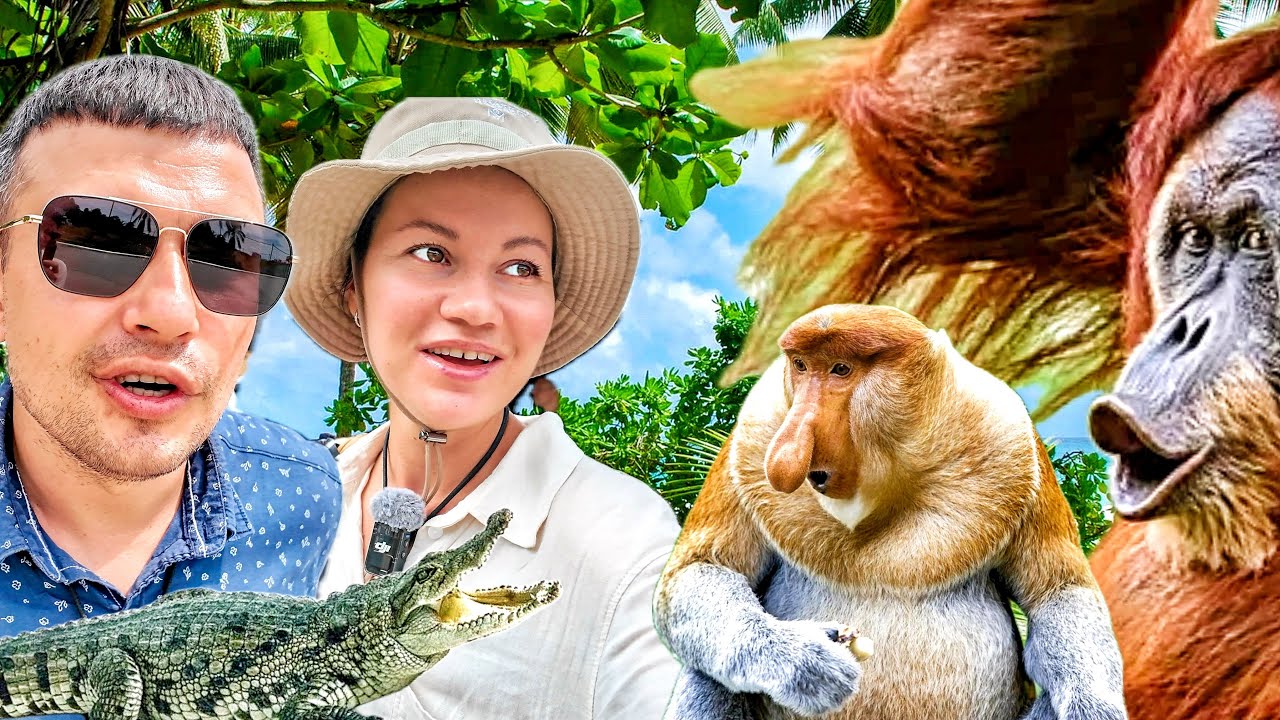 БОРНЕО. НЕВЕРОЯТНО! Остров который должен увидеть каждый. Дикий рай: носачи, орангутаны и крокодилы