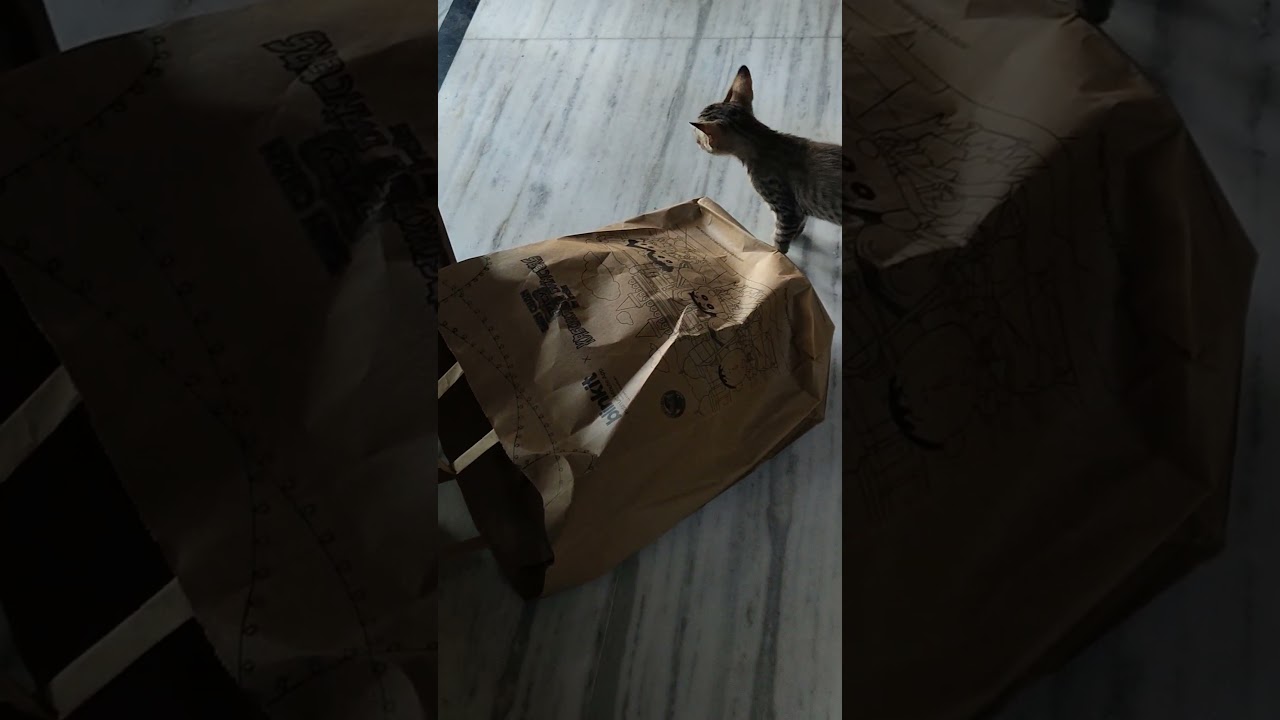 Naina is my favourite #always energetic #inspiration#cute baby #feeling #cuteness overloaded