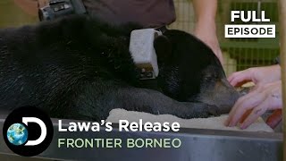 Full Episode: Lawa’s Release | Frontier Borneo S01E05