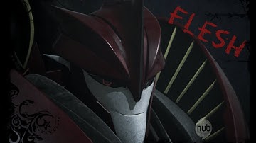 Knockout ~ tribute (TF prime)