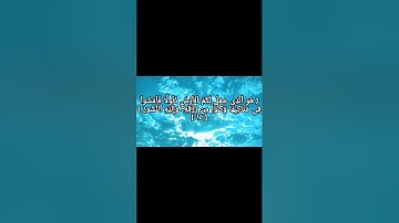 قراءة سورة الملك تمنع عذاب القبر
