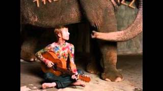 Stand Open- Trevor Hall (elephants door)