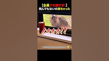 【全員クセ強すぎ！】飛んでもないもの来ちゃった #ほっこりショート