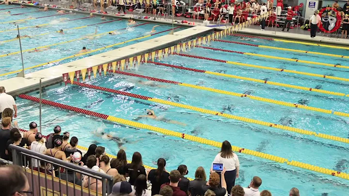 2021 Minnesota Invite - Women's 400 IM (Alicia Wil...