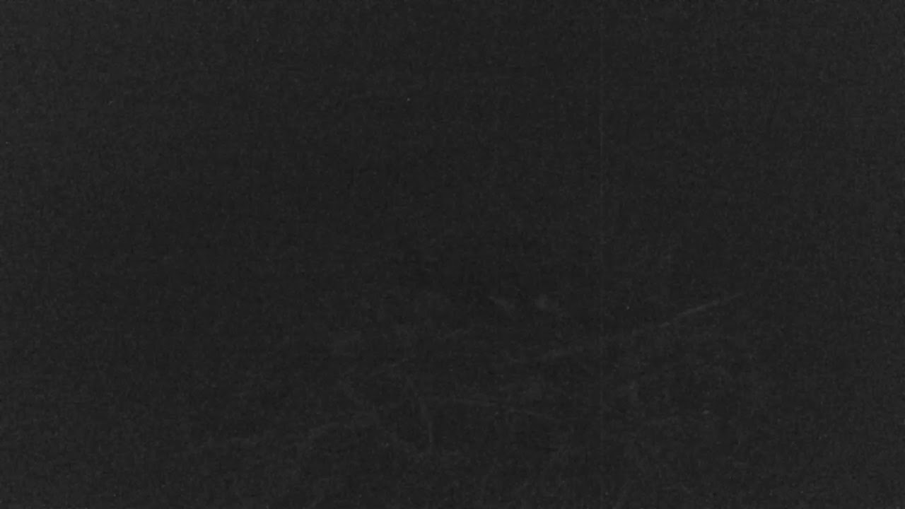camera iphone 8 plus apk Cape Cod Museum of Natural History Live Stream