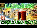 Kaz Dağlarında Bir Köy ! Yeşilyurt Köyünde Eşsiz Manzaralarla Oksijene Doyduk !