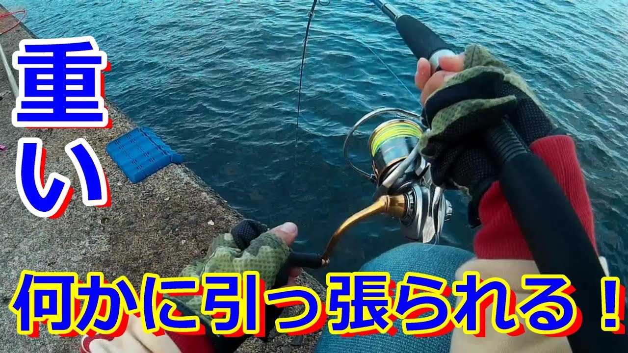 ぶっこみ釣りで、重い何かに引っ張られる