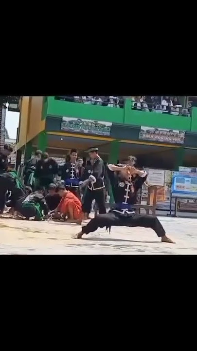 jurus mabuk ikspi kera sakti