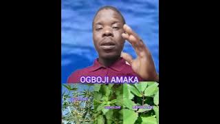 PØWERFUL SPÏRITUAL WORK YOU CAN DO TO DÊSTRØY ANY FAMILY CØURSE .