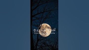 القارئ محمد حمادي تلاوه هادئه من سورة النجم  #قرآن #سورة_النجم #محمد_حمادي #المصحف #اكسبلور #لايك