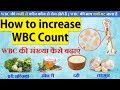 How to increase wbc count [in hindi] | WBC की संख्या कैसे बढ़ाएं | WBC kaise kam kare_HD