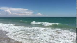 Puerto Penasco September 2016