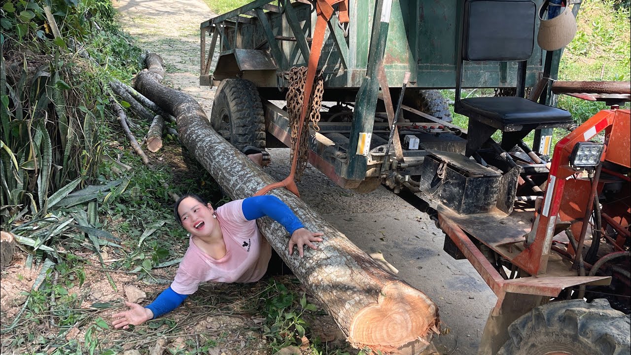 Logging and transporting timber by agricultural vehicles