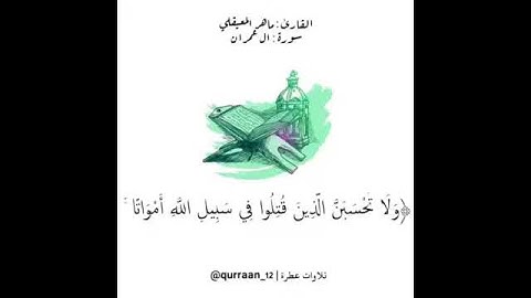 قرآن كريم سورة ال عمران القارى ماهر المعيقلي ♥️🕊
