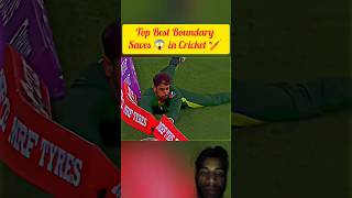 Top Best Boundary Saves in CricketX Song Vibes#boundry#saves#cricketlover#cricket #cricketfunny