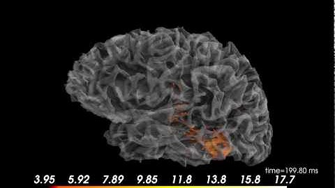 Demonstration of MNE-Pythons new vector source estimates