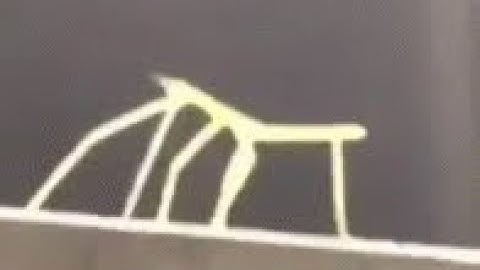 Stick Bug Song Remix