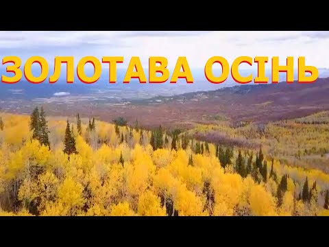 Видео: Золотава осінь