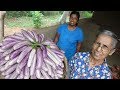 Cheesy Eggplant Recipe by Grandma and Daughter ❤ Village Life