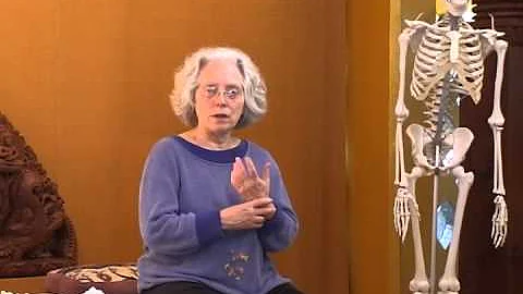 The Changing Nature of Ligaments, Bones, Fascia, a...