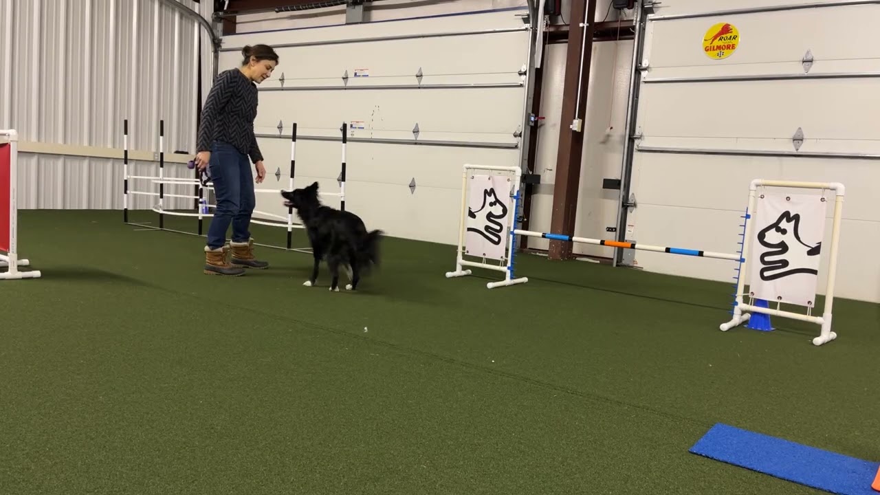 Mia small sequence jumps and weave polls w/directional 02122026