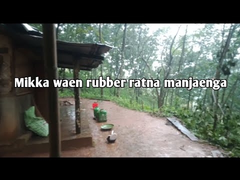 Mikka wasimenga/Rongjeng ode 28 april 2026.
