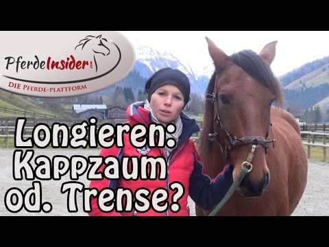 Longieren mit Kappzaum oder Trense?