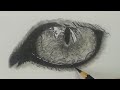 Drawing cats eye  sketching  sketch rb