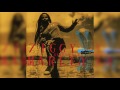 Looking - Ziggy Marley | DRAGONFLY