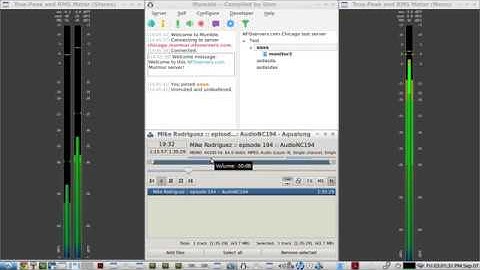 Mumble Voice Chat - with Jack Audio support - volume management using the LoudMax LADSPA Plugin