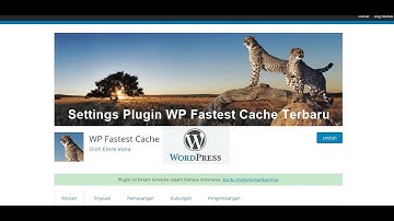 Settings Plugin WP Fastest Cache Terbaru (2020)