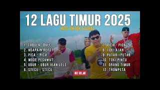 Download Lagu 12 LAGU TIMUR VIRAL 2025 –  ALBUM HITS TIKTOK MP3