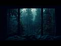 Gentle Rain in Outside at the Bedroom Window | Calm Night Atmosphere for Sleeping
