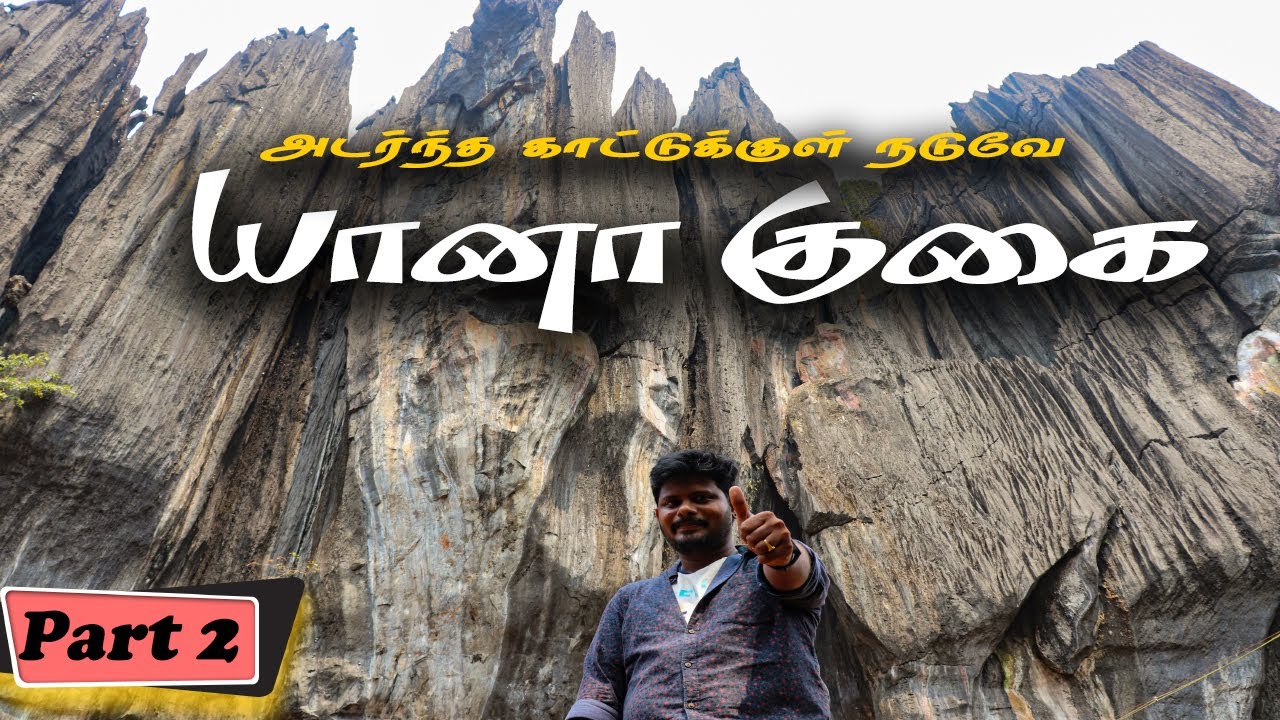அடர்ந்த காட்டுக்குள் இருக்கும் யானா குகை | Magical Place in forest | Yana Rocks and Caves | Part 2