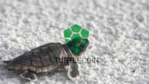 TurtleCoin Mining - Kurz und Knackig erklärt [Crypto]