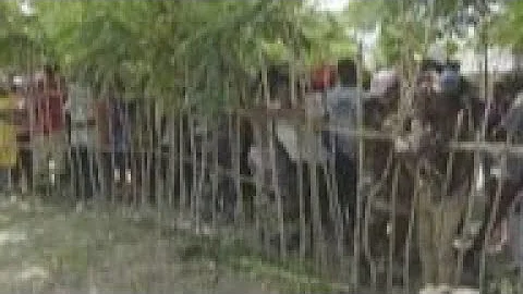 WFP helps tackle Haiti food insecurity