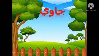 PDPR Jawi  Tahun 1