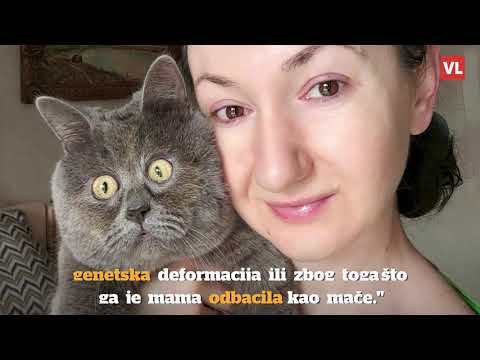 Video: Deformacija Kostiju I Patuljavost Mačaka