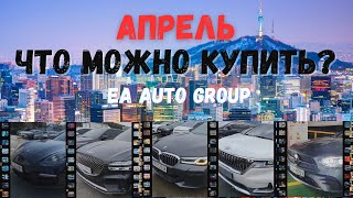 Обзор цен на аукционе в Корее/какие авто продают в апреле?