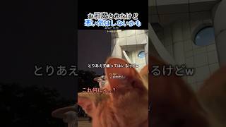 ILLITのチャレンジ中に乱入してきた猫